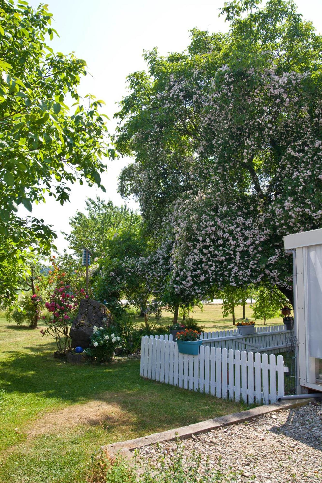 Ferienwohnung Moierhof Palling Екстериор снимка