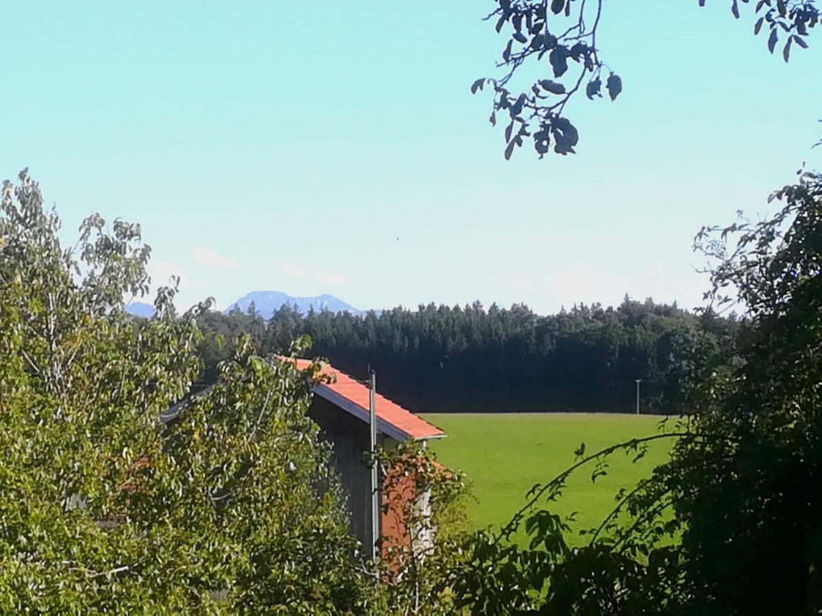 Ferienwohnung Moierhof Palling Екстериор снимка